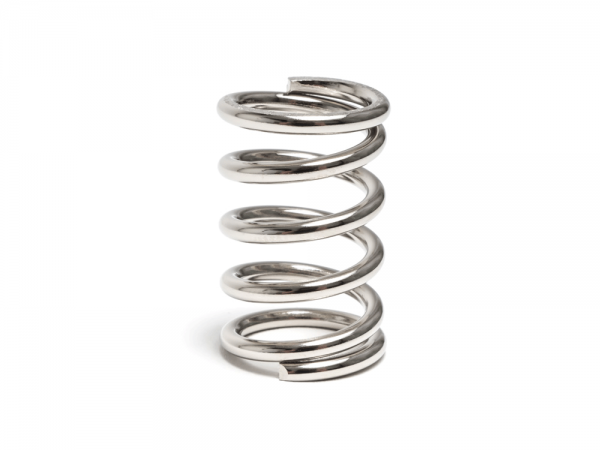 Original Duesenberg Feder für Tremolo Systeme